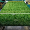 Aluminum Alloy 3005 Designed Pattern Painted Aluminum Coil Used For Building Exterior Decoration Panel
