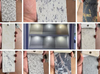 Marble Finish Aluminum Coil and Stone Grain Color Coated Aluminum